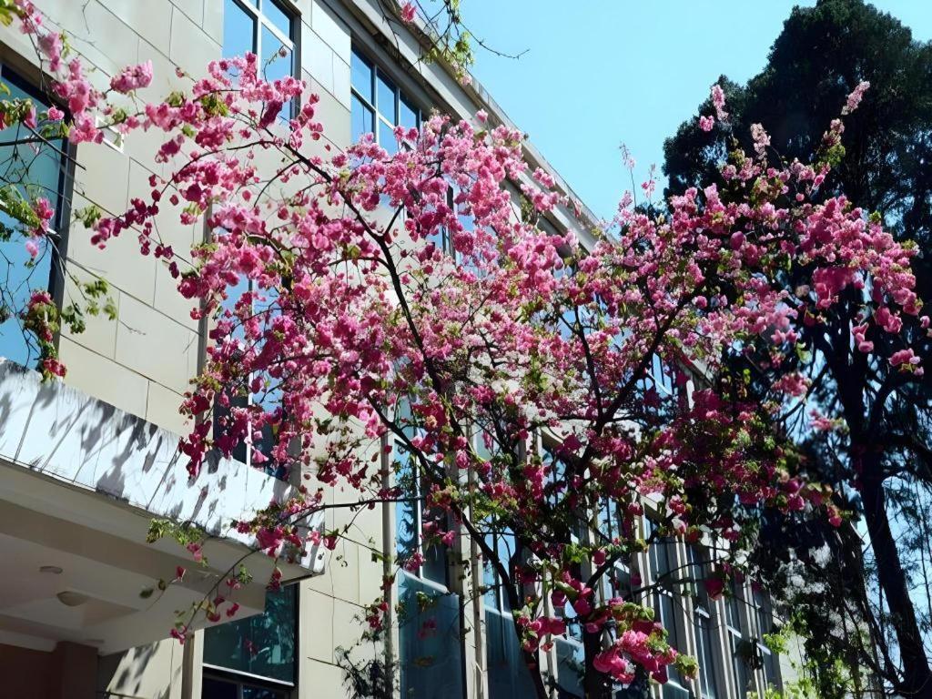 Lian Yun Hotel Kunming Esterno foto