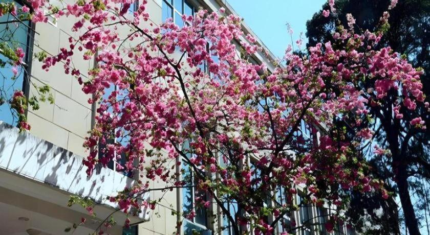 Lian Yun Hotel Kunming Esterno foto